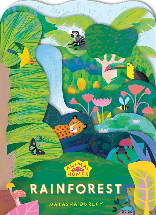 Rainforest Cover Natasha Durley Templar  9781800782266
