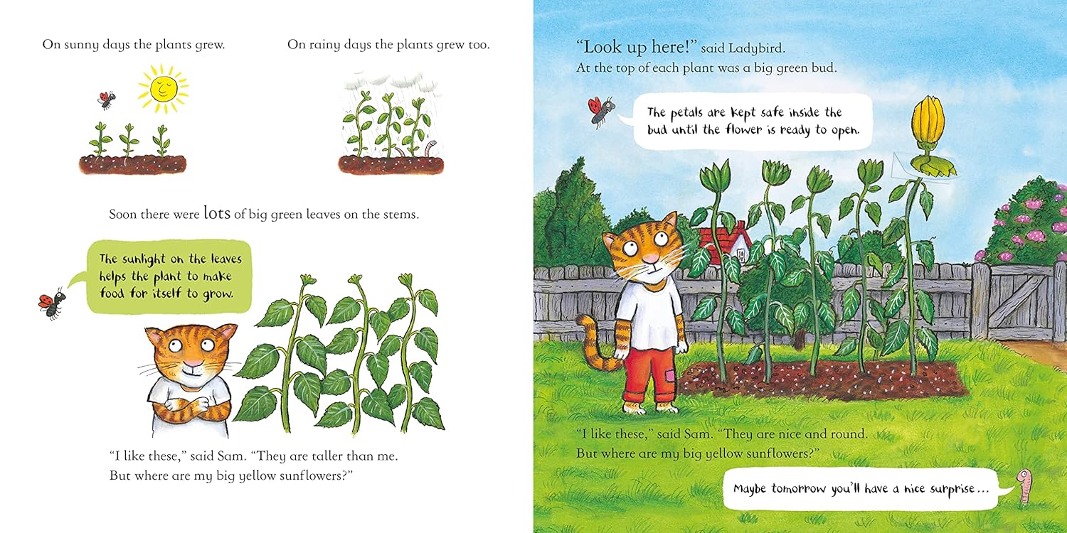 Sam Plants a Sunflower Inside Nosy Crow Axel Scheffler 9781839941733