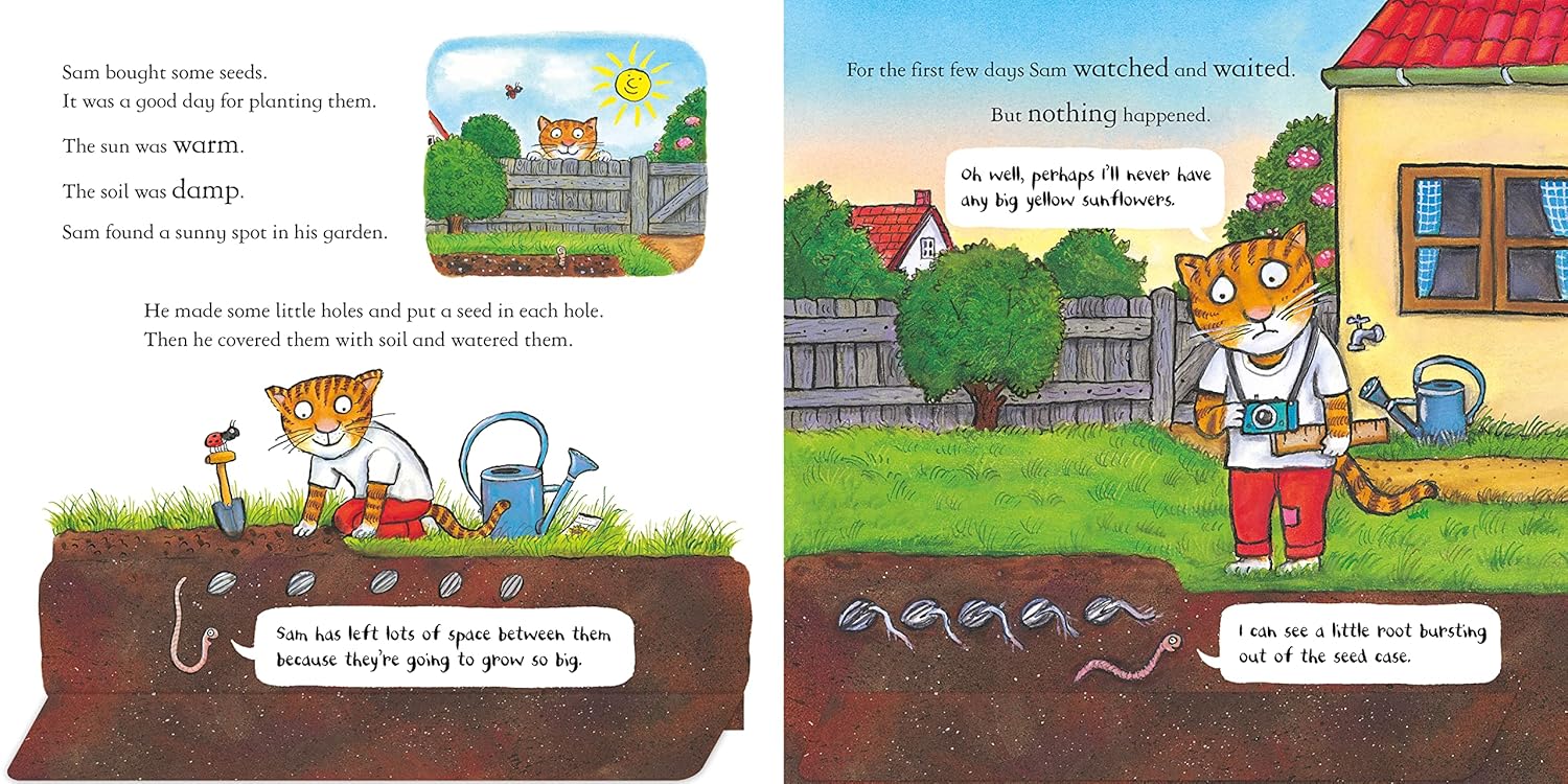 Sam Plants a Sunflower Pages Nosy Crow Axel Scheffler 9781839941733