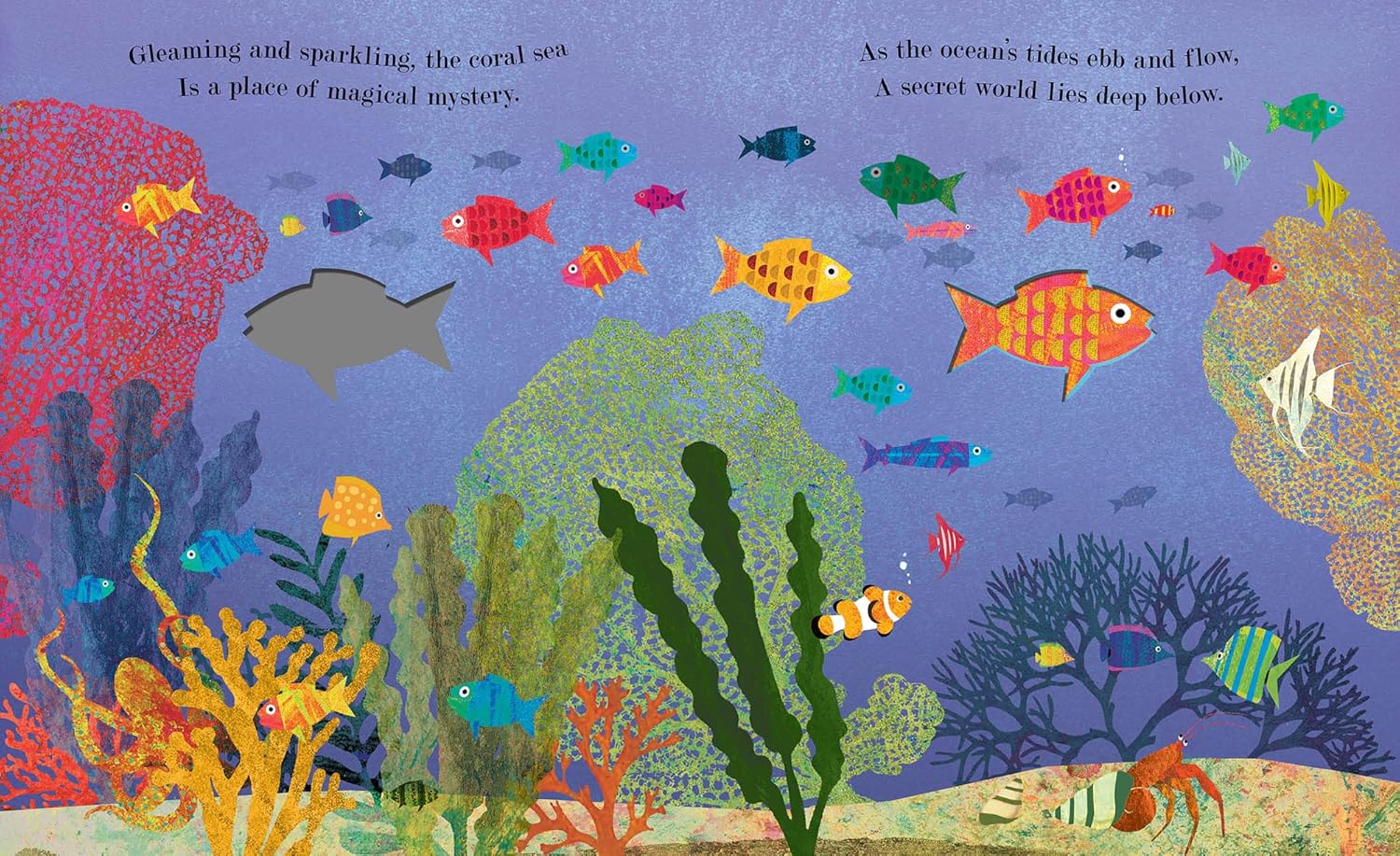 Sea: Pages Patricia Hegarty Little Tiger Press 9781788816298