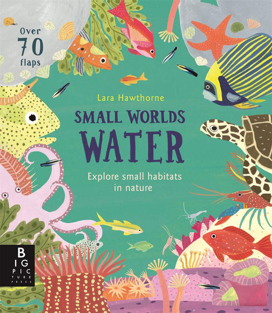 Small Worlds: Water Cover Templar Books Lara Hawthorne 9781787415621