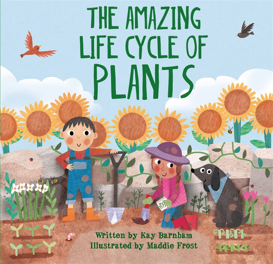 The Amazing Life Cycle of Plants Cover Hachette Kay Barnham 9780750299589 