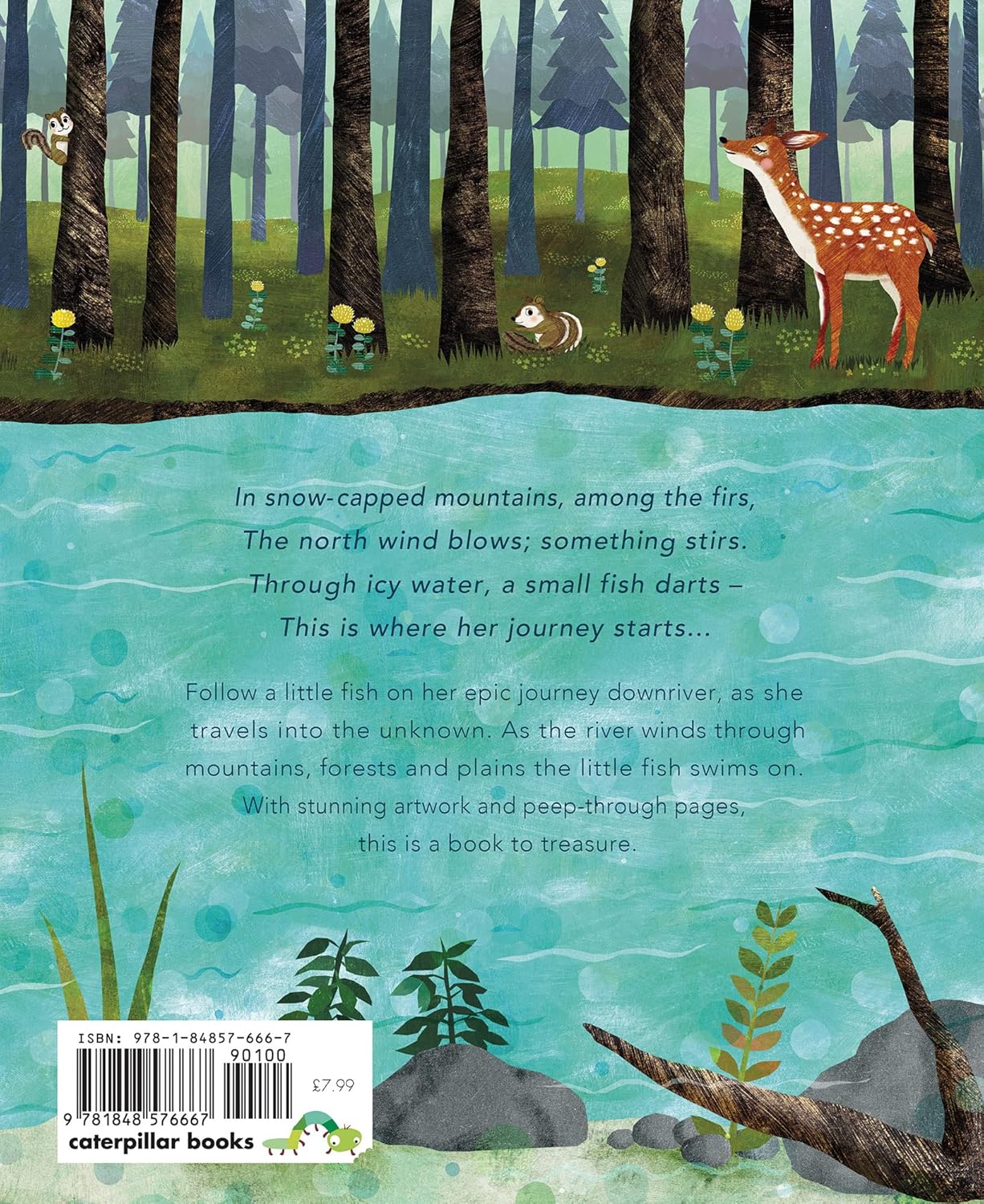 The River: An Epic Journey to the Sea Back Little Tiger Press Patricia Hegarty 9781848576667