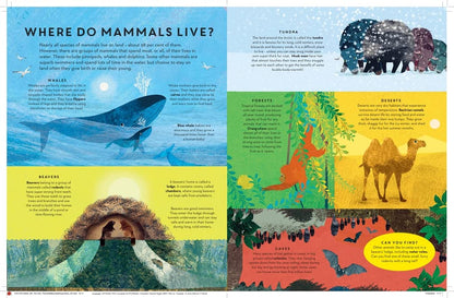 There are Mammals Everywhere Inside Templar Books Britta Teckentrup 9781787419940
