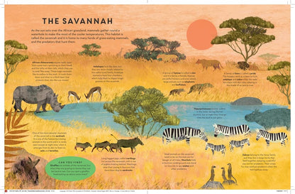 There are Mammals Everywhere Pages Templar Books Britta Teckentrup 9781787419940