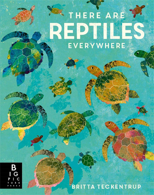 There are Reptiles Everywhere Cover Templar Books Britta Teckentrup 9781787419094