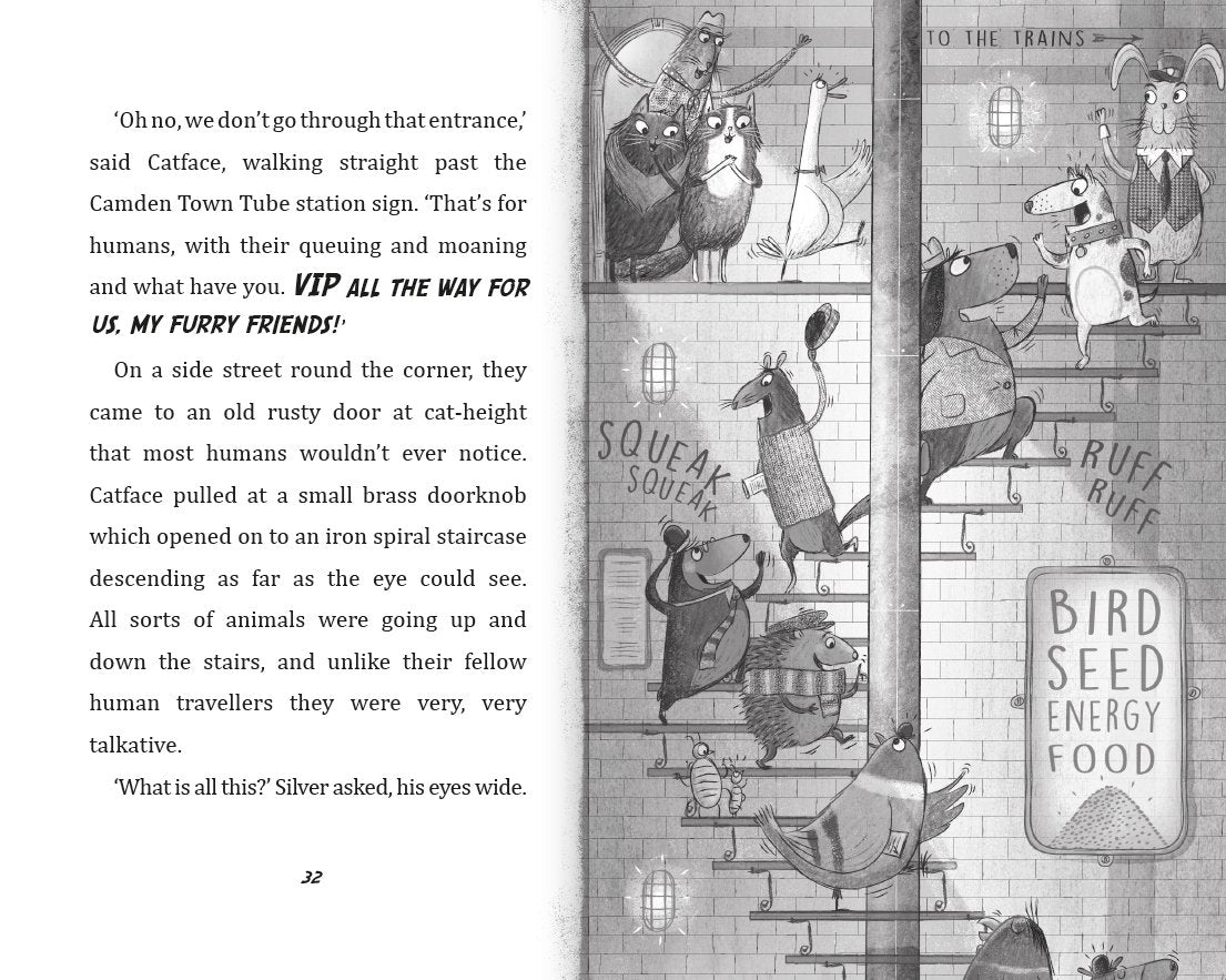 Toto the Ninja Cat Pages Hachette Dermot O’Leary 9781444939453