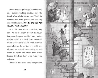 Toto the Ninja Cat Pages Hachette Dermot O’Leary 9781444939453