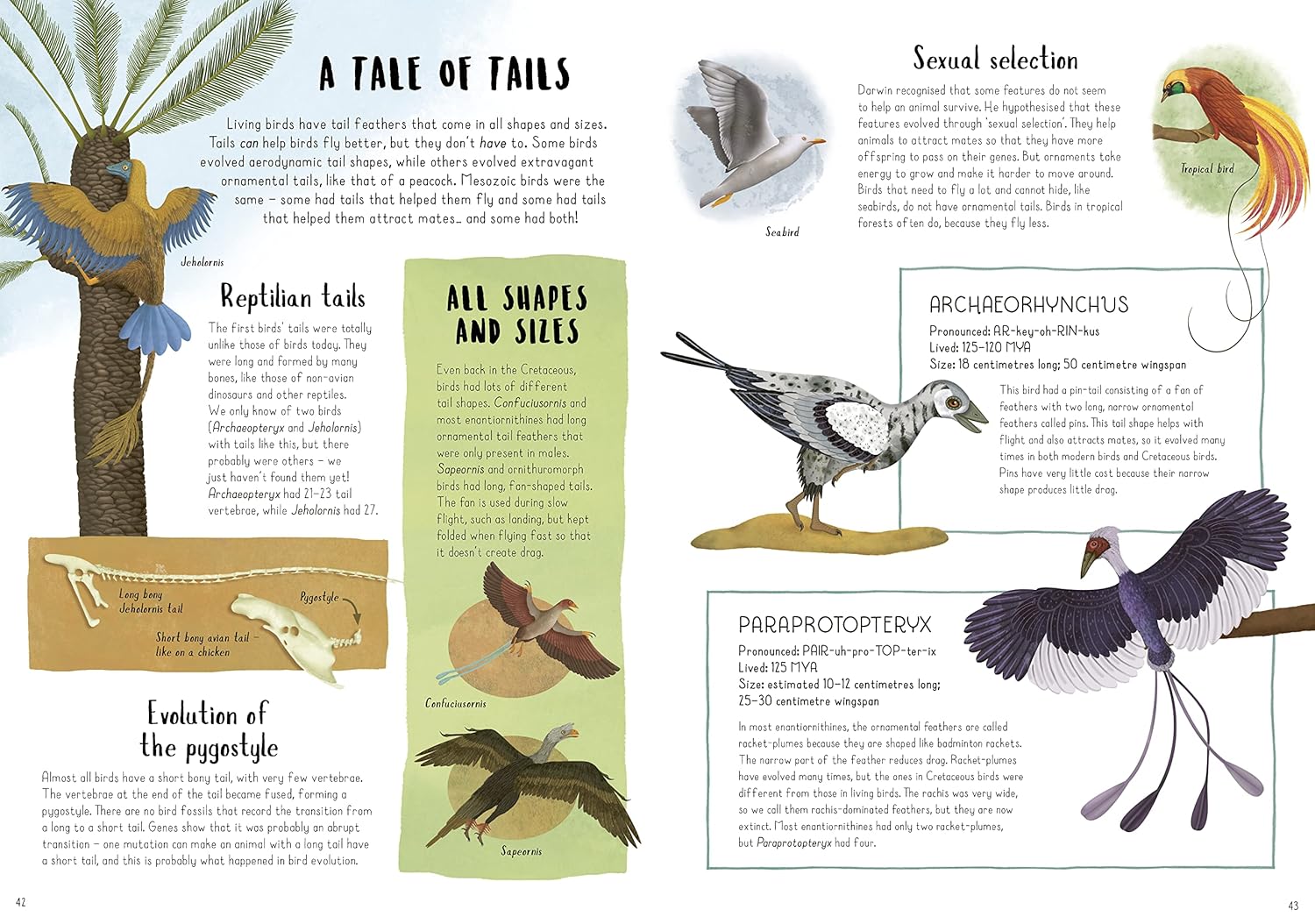 When Dinosaurs Conquered the Skies Pages Quarto Publishing 9780711275133
