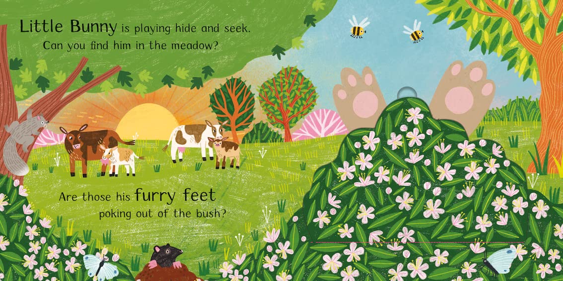 Where is Little Bunny? Illustrated by Hannah Abbo published by Campbell Board Book Page