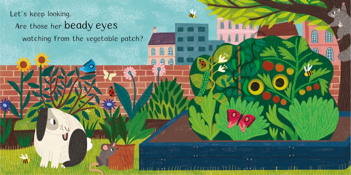 Where is little kitten? ISBN 9781529098419 Campbell Books illustrated by Hannah Abbo