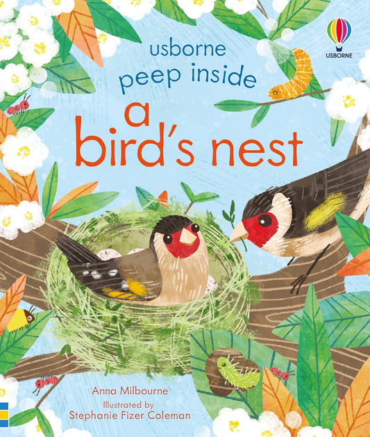a bird's nest Cover Anna Milbourne Usborne  9781474969178