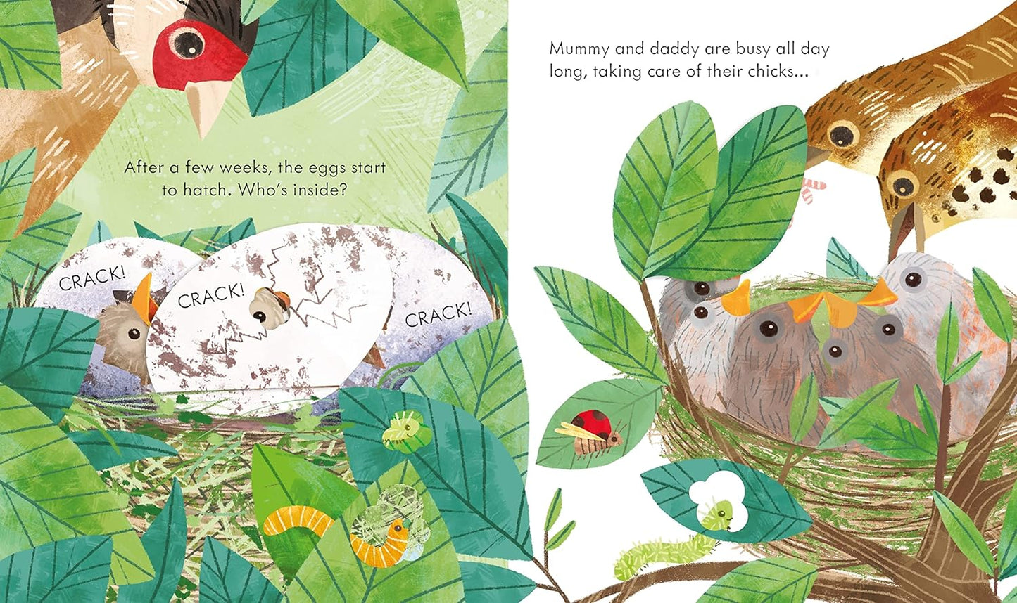 a bird's nest Pages Anna Milbourne Usborne  9781474969178