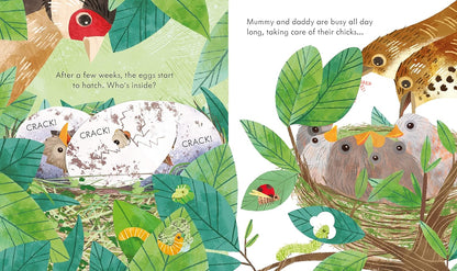 a bird's nest Pages Anna Milbourne Usborne  9781474969178