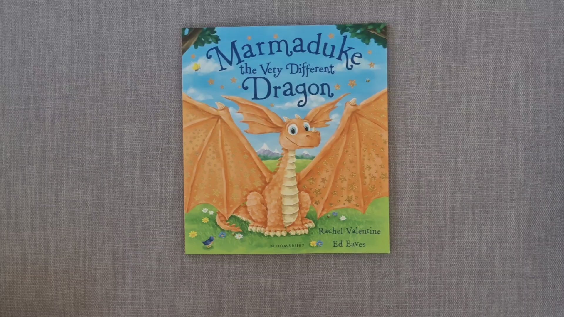 Marmaduke Look Through Pages Rachel Valentine Bloomsbury 9781408836774 
