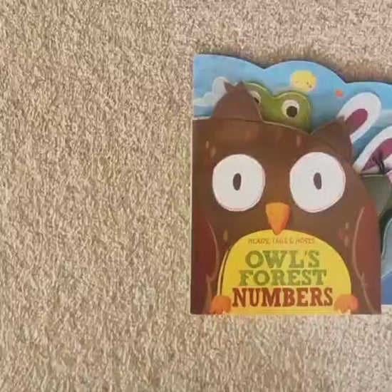 Owl's Forest Numbers Book Baker Taylor 9781942407010