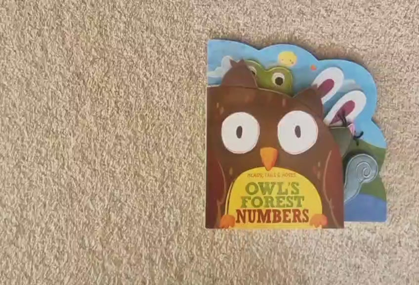 Owl's Forest Numbers Book Baker Taylor 9781942407010